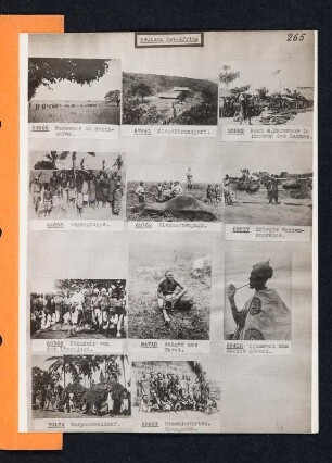 Albumblatt 44 mit Angebotsserie "Deutsch-Ost-Afrika"