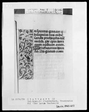 Lateinisch-französisches Stundenbuch — Bordüre mit Vogel, Folio 136 verso