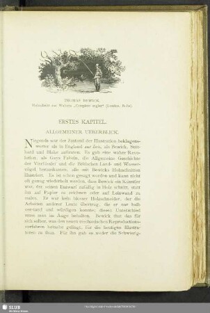 Erstes Kapitel. Allgemeiner Ueberblick