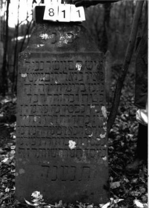Grabstein 811