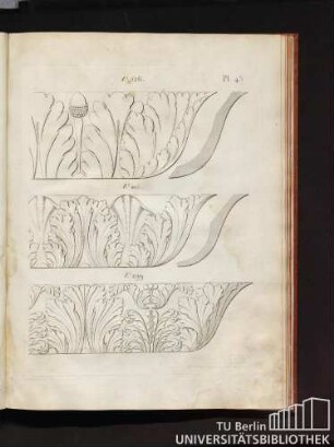 Pl. 43.