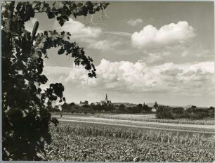 Biengen