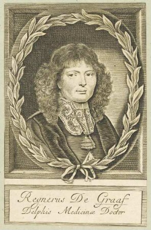 Bildnis des Regnerus De Graaf