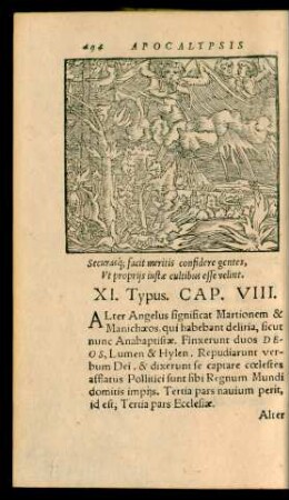 XI. Typus. Cap. VIII.