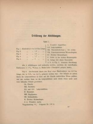Erklärung der Abbildungen