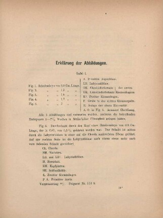 Erklärung der Abbildungen