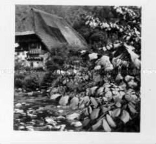 Schwarzwaldhaus