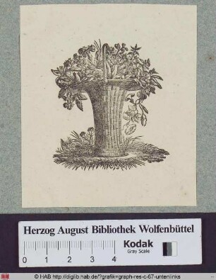 Ein Blumenkorb auf einem Rasenstück mit diversen Blüten und Blättern.