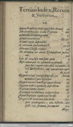 Tertius Index, Rerum & Verborum