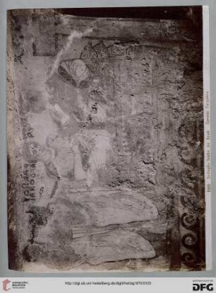 6981 Dettaglio Tomba dei Scudi - Corneto Tarquinia