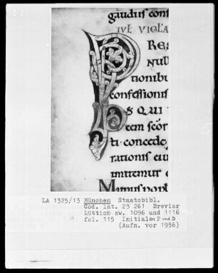 Sakramentar, Folio 208 (Blatt) — ---, Folio 208 (Blatt)Initiale P, Folio 115 recto