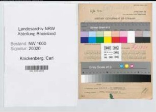 Entnazifizierung Carl Knickenberg, geb. 02.05.1909 (Kaufmann)