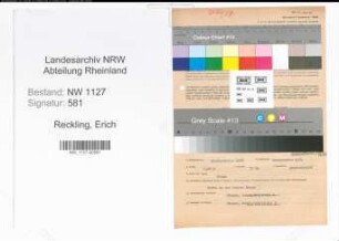 Entnazifizierung Erich Reckling , geb. 20.09.1896 (Unternehmer)