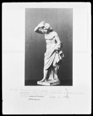 Leander