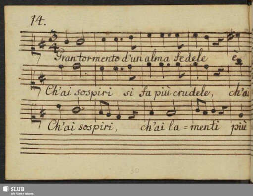14. Caldara, A.: Gran tormento d'un alma fedele