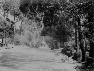 Straße in La Paz