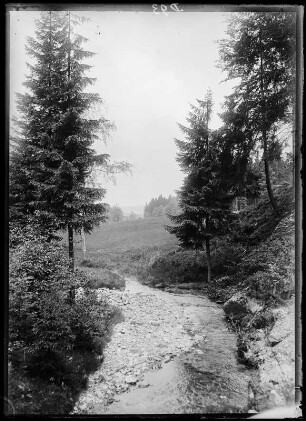 Partie im Göltzschtal