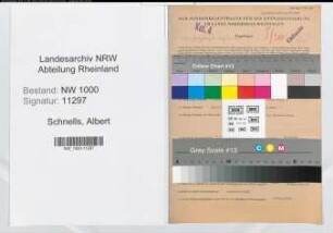 Entnazifizierung Albert Schnells, geb. 18.09.1893 (Obersekretaer)