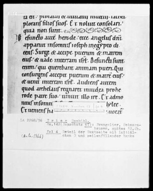 Evangeliar: Seite mit Rankenornament