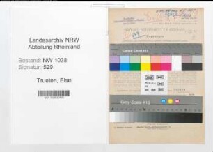Entnazifizierung Else Trueten , geb. 28.10.1896 (Beamtin)