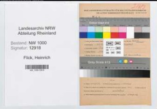 Entnazifizierung Heinrich Flick, geb. 12.09.1901 (Werkfuehrer)