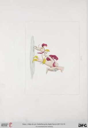 Planche XXXI