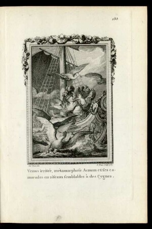 Venus irriteé, métamorphose Acmon et ses camarades en oiseaux semblables à des Cygnes.