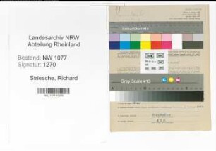 Entnazifizierung Richard Striesche , geb. 11.01.1891 (Polizist)