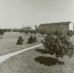 Ammonstraße