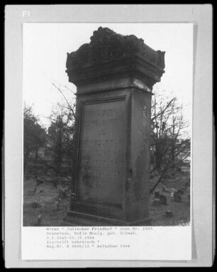 Grabstein von Sofie Honig (geborene Schwab) (gestorben 1924.12.23)