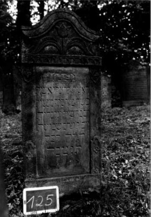 Grabstein 125 [Nir S. 96 Nr. 10.10]