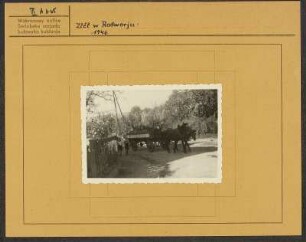 Sorbentreffen in Radibor 1946. Festumzug : Zlět w Radworju 1946. Swjedźenski ćah