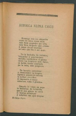 Hormiga negra chico