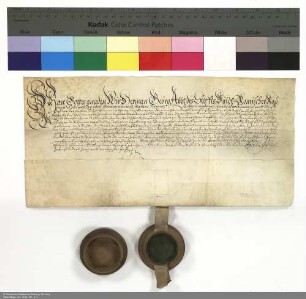 Lehenbrief Hermann Georgs [von Neuhof], Abt von Fulda, für Katharina Apollonia von Bommersheim über den fuldischen Hof in Bommersheim und weitere im Einzelnen aufgeführte Lehen