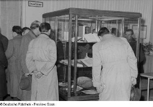Personen betrachten in einer Vitrine ausgestellte Bücher