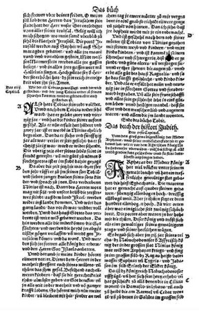Das buch der histori Judith.
