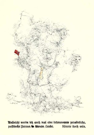 BRAUNI (II)