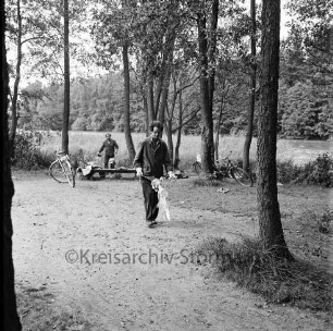 Großensee: Nordufer: Waldspielplatz hinter Liegewiese: in der Mitte zwei Arbeiter der Hamburger Forstverwaltung bei Aufräumarbeiten: vorn und hinten Bäume: dahinter Wald