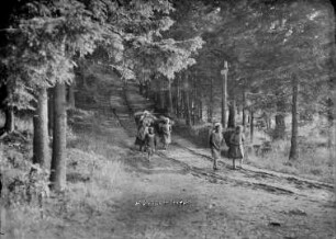 Kinder auf dem Heimweg vom Reisig sammeln