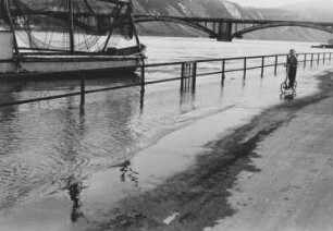 Hochwasser 1952 an der Mosel
