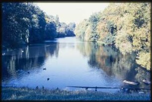 Blick entlang des Fennsees