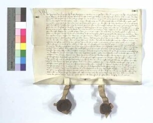 Gültbrief des Micheal Rummel von Ötisheim gegen die Kaplanei in Buchenfeld.