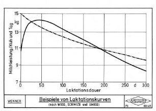 Beispiele von Laktationskurven