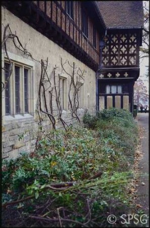 Potsdam, Neuer Garten, Schloss Cecilienhof, Pyracantha.