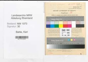 Entnazifizierung Karl Bahle , geb. 15.11.1901 (Buchhalter)