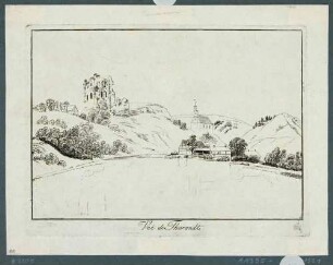 Blick über den Schlossteich auf die Burgruine und die Stadt- und Bergkirche in Tharandt