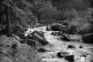 Landschaft am Schwarzwasser