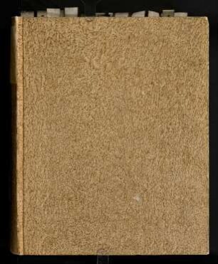 De Sermone Dei Ad Iobvm : Cap. XXXVIII. XXXIX. Eivsqve Scopo