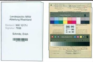 Entnazifizierung Erich Schmitz , geb. 02.05.1909 (Malermeister)