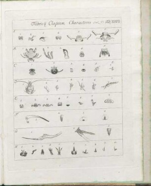 Fabricij Classium Characteres